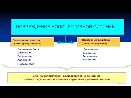 Позитивные симптомы (с-мы «раздражения») Для нейропатической боли характерно сочетание болевых