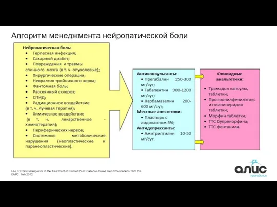 Алгоритм менеджмента нейропатической боли Use of Opioid Analgesics in the