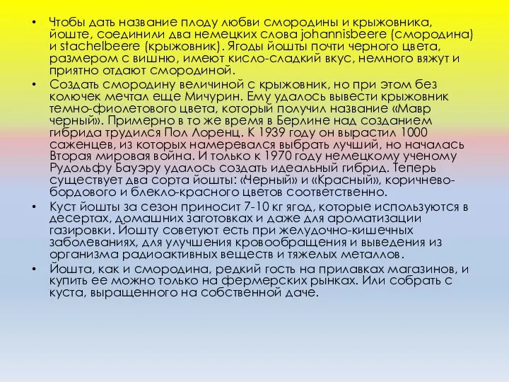 Чтобы дать название плоду любви смородины и крыжовника, йоште, соединили