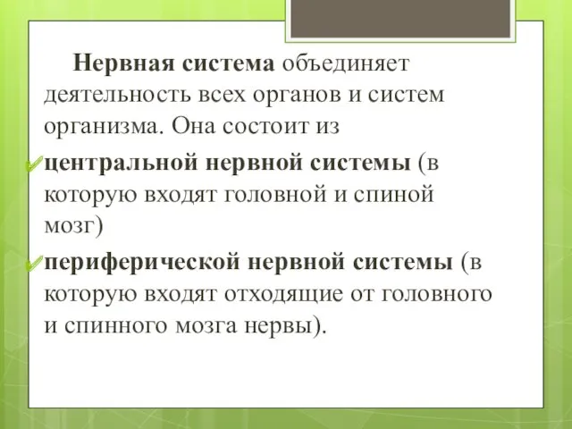 Нервная система объединяет деятельность всех органов и систем организма. Она