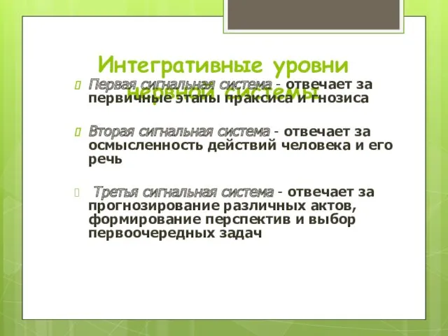 Интегративные уровни нервной системы Первая сигнальная система - отвечает за