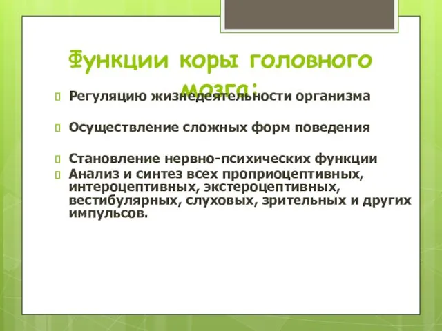 Функции коры головного мозга: Регуляцию жизнедеятельности организма Осуществление сложных форм