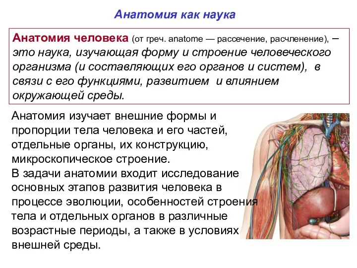 Анатомия человека (от греч. anatome — рассечение, расчленение), – это