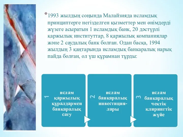 1993 жылдың соңында Малайзияда исламдық принциптерге негізделген қызметтер мен өнімдерді