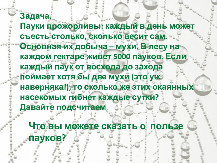 « Задача. Пауки прожорливы: каждый в день может съесть столько,