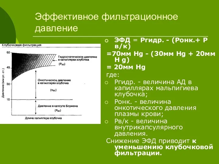 Эффективное фильтрационное давление ЭФД = Ргидр. - (Ронк.+ Р в/к) =70мм Нg -