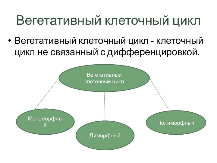 Вегетативный клеточный цикл Вегетативный клеточный цикл - клеточный цикл не