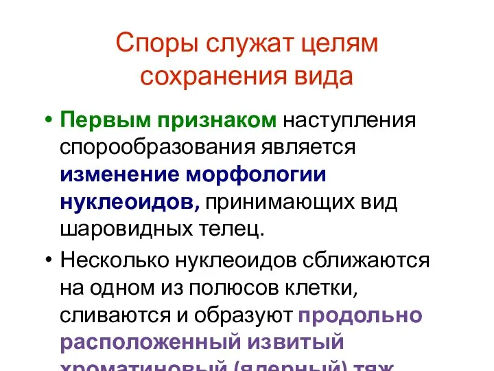 Споры служат целям сохранения вида Первым признаком наступления спорообразования является