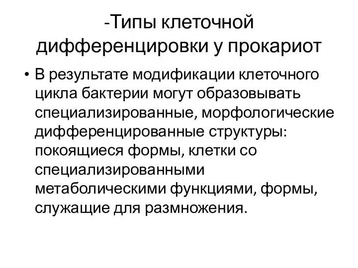 -Типы клеточной дифференцировки у прокариот В результате модификации клеточного цикла