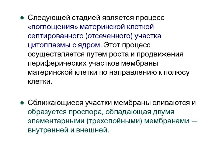 Следующей стадией является процесс «поглощения» материнской клеткой септированного (отсеченного) участка