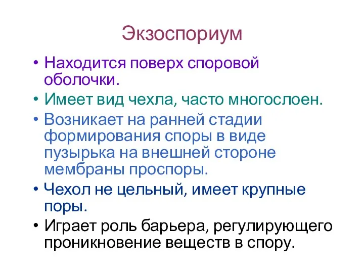 Экзоспориум Находится поверх споровой оболочки. Имеет вид чехла, часто многослоен.