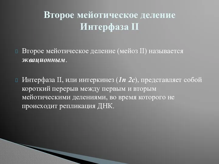 Второе мейотическое деление (мейоз II) называется эквационным. Интерфаза II, или