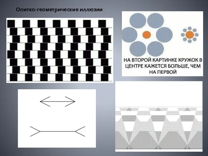 Опитко-геометрические иллюзии