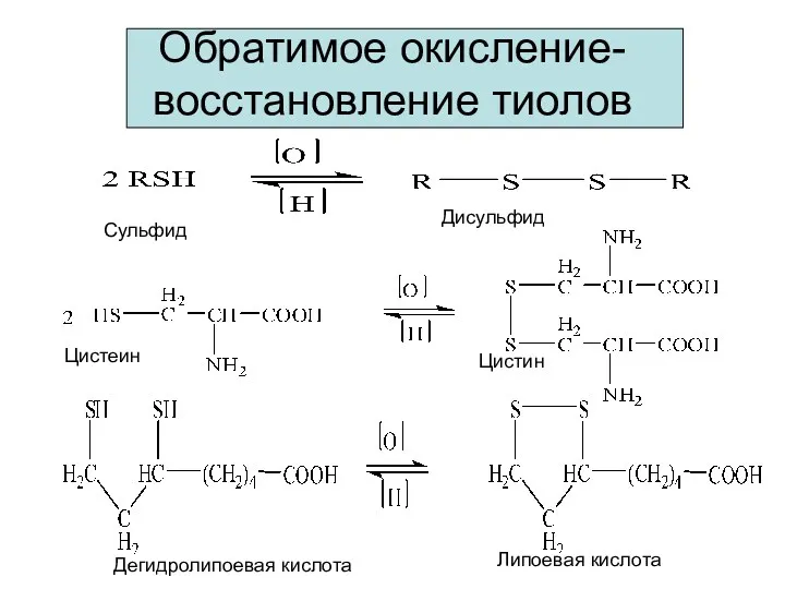 Обратимое окисление-восстановление тиолов Сульфид Дисульфид Цистеин Цистин Дегидролипоевая кислота Липоевая кислота