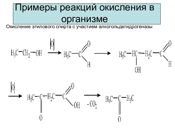 Примеры реакций окисления в организме Окисление этилового спирта с участием алкогольдегидрогеназы