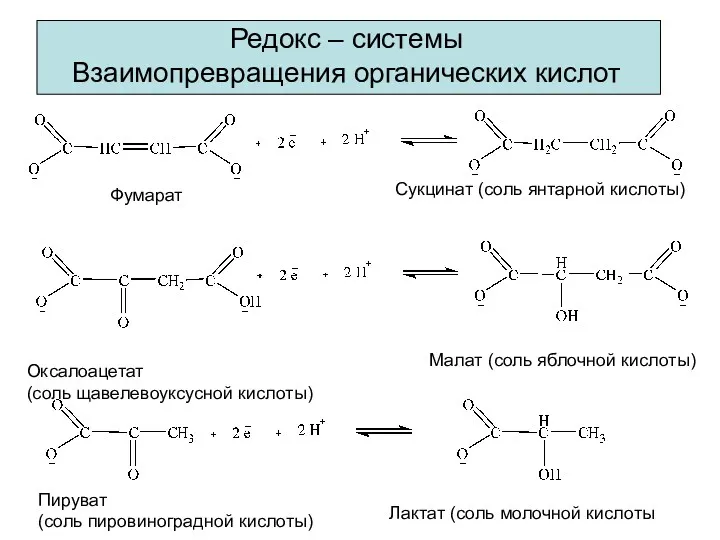 Редокс – системы Взаимопревращения органических кислот Фумарат Сукцинат (соль янтарной