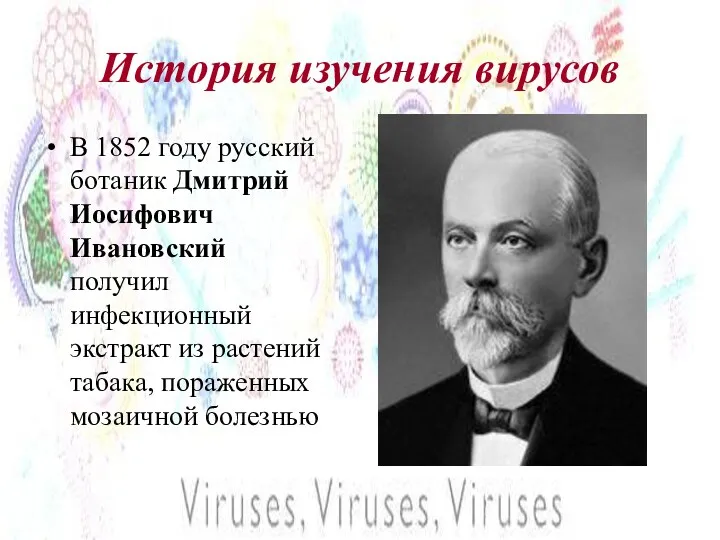 История изучения вирусов В 1852 году русский ботаник Дмитрий Иосифович Ивановский получил инфекционный
