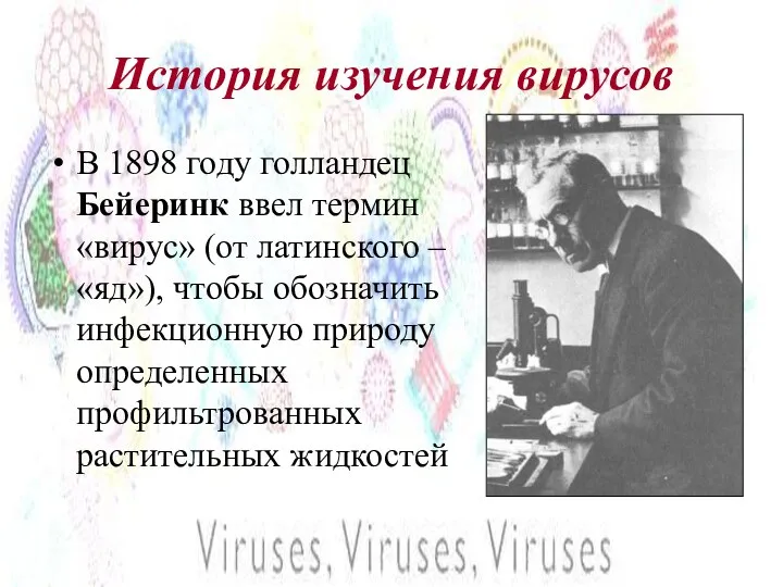 История изучения вирусов В 1898 году голландец Бейеринк ввел термин «вирус» (от латинского
