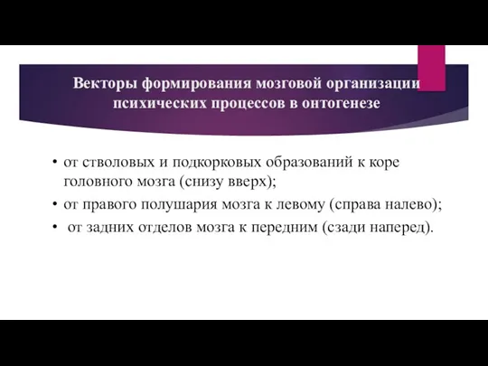 Векторы формирования мозговой организации психических процессов в онтогенезе от стволовых и подкорковых образований