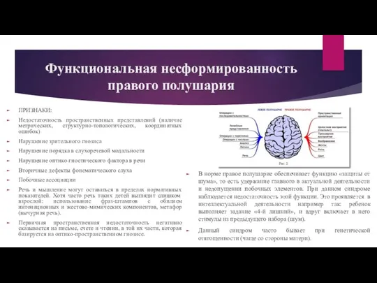 Функциональная несформированность правого полушария ПРИЗНАКИ: Недостаточность пространственных представлений (наличие метрических,