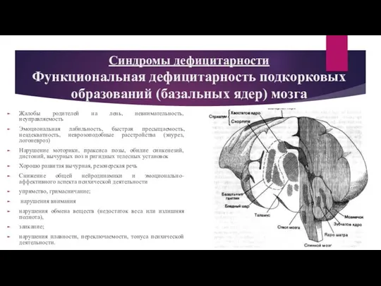 Синдромы дефицитарности Функциональная дефицитарность подкорковых образований (базальных ядер) мозга Жалобы