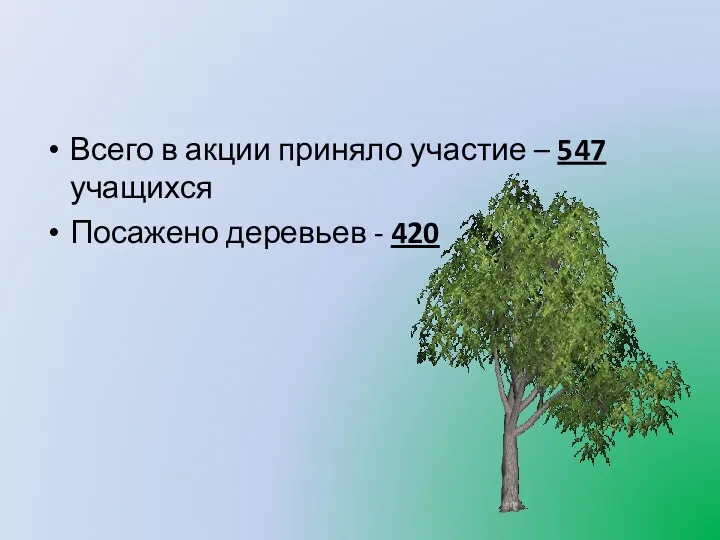 Всего в акции приняло участие – 547 учащихся Посажено деревьев - 420