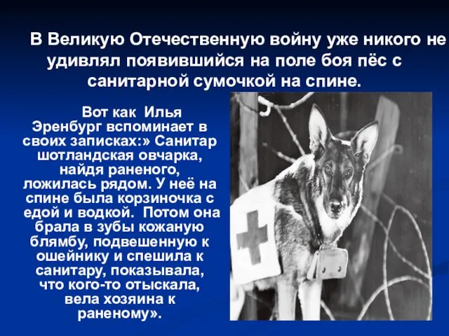 Вот как Илья Эренбург вспоминает в своих записках:» Санитар шотландская