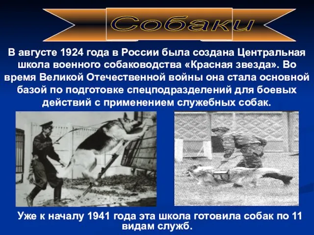 В августе 1924 года в России была создана Центральная школа