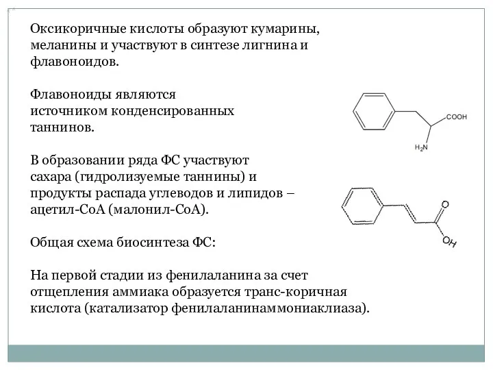 Оксикоричные кислоты образуют кумарины, меланины и участвуют в синтезе лигнина