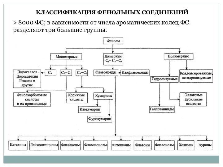 > 8000 ФС; в зависимости от числа ароматических колец ФС