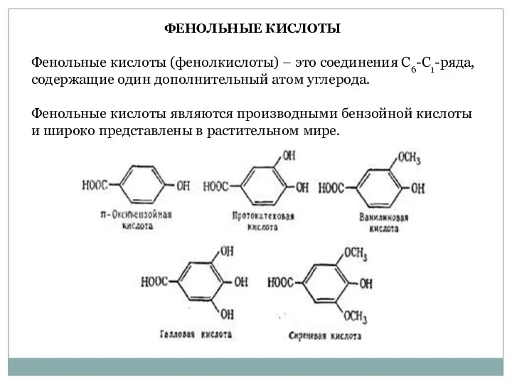 Фенольные кислоты (фенолкислоты) – это соединения С6-С1-ряда, содержащие один дополнительный