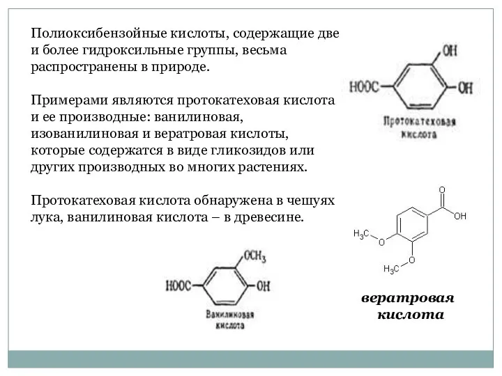 Полиоксибензойные кислоты, содержащие две и более гидроксиль­ные группы, весьма распространены