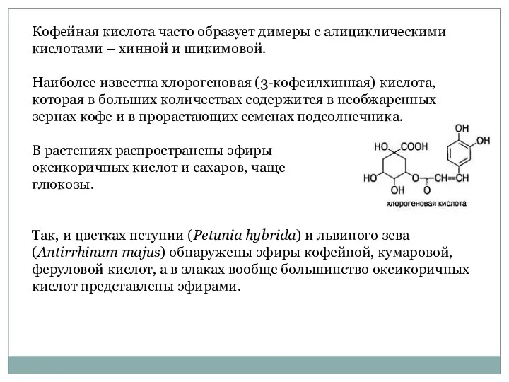 Кофейная кислота часто образует димеры с алициклическими кислотами – хинной