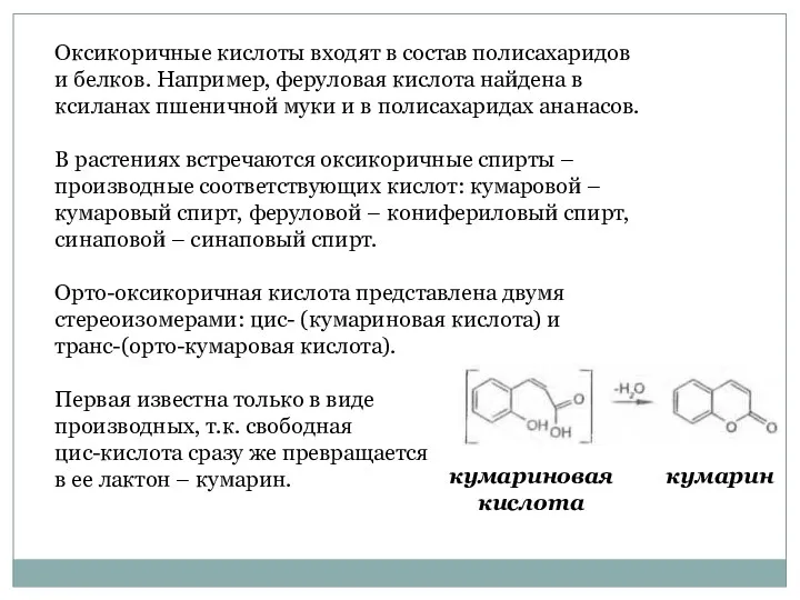 Оксикоричные кислоты входят в состав полисахаридов и белков. Например, феруловая