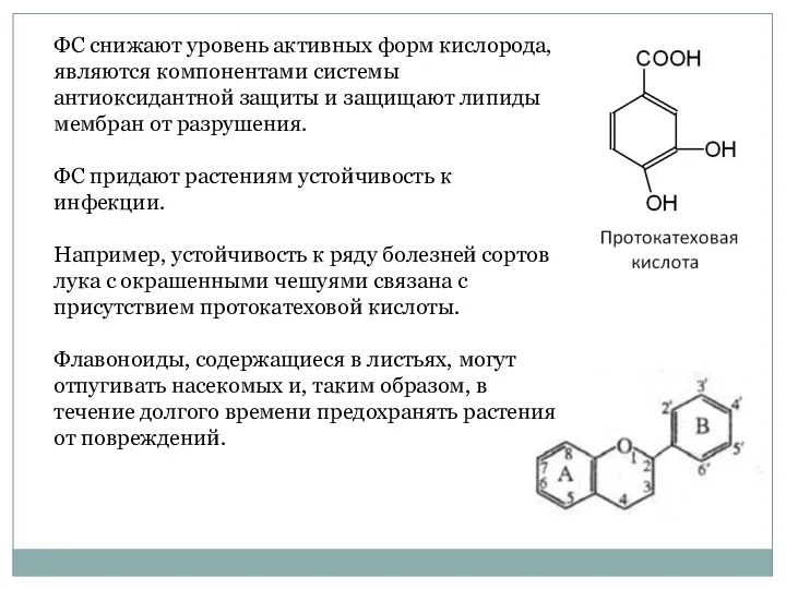 ФС снижают уровень активных форм кислорода, являются компонентами системы антиоксидантной