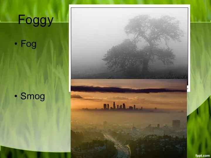 Foggy Fog Smog