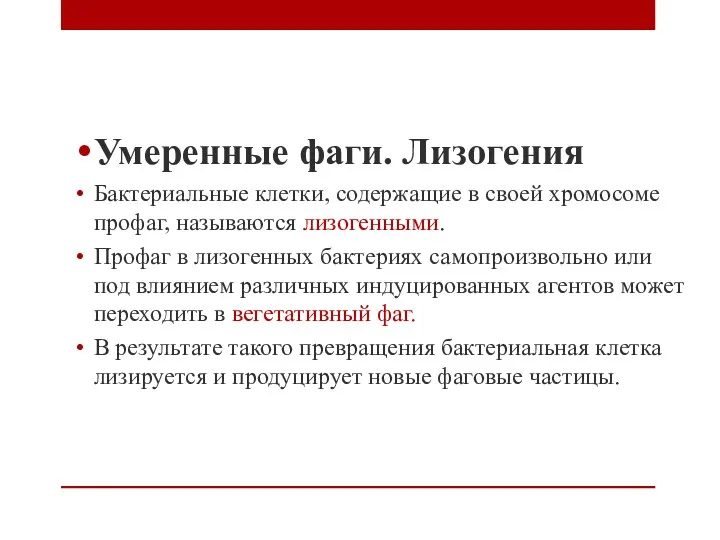 Умеренные фаги. Лизогения Бактериальные клетки, содержащие в своей хромосоме профаг,