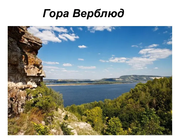 Гора Верблюд