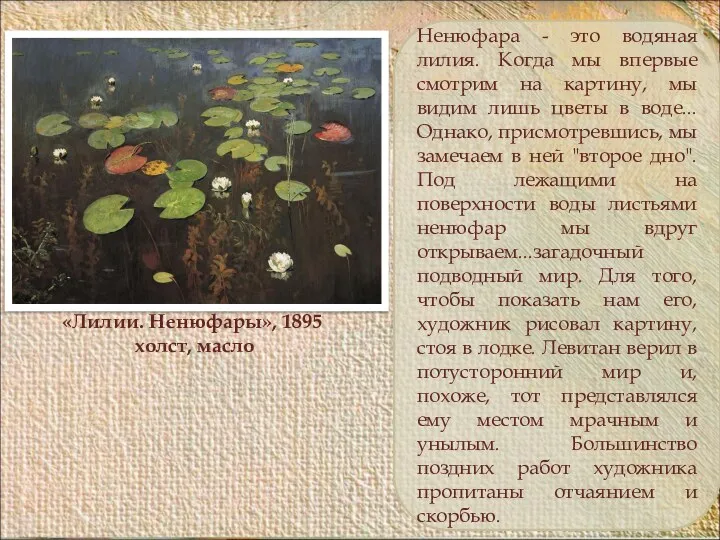 «Лилии. Ненюфары», 1895 холст, масло Ненюфара - это водяная лилия.