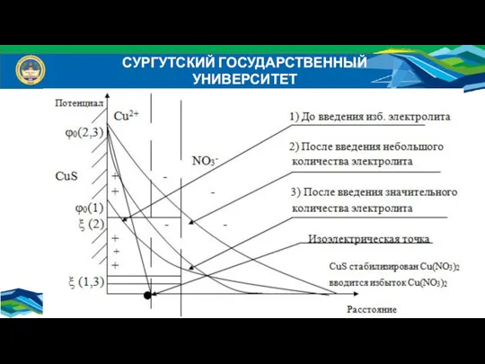 СУРГУТСКИЙ ГОСУДАРСТВЕННЫЙ УНИВЕРСИТЕТ