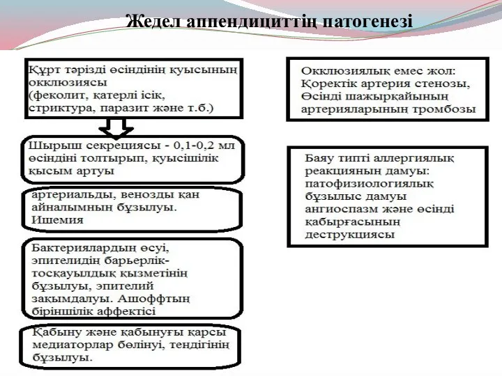 Жедел аппендициттің патогенезі