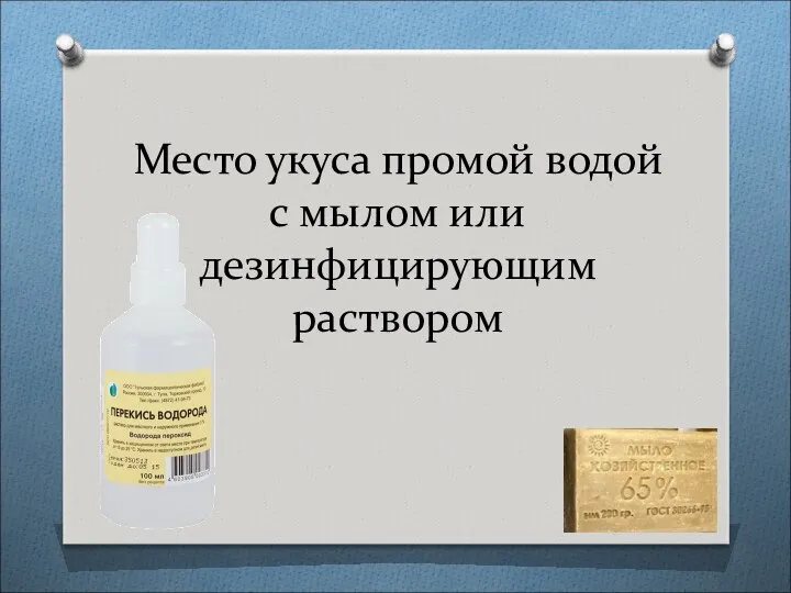 Место укуса промой водой с мылом или дезинфицирующим раствором