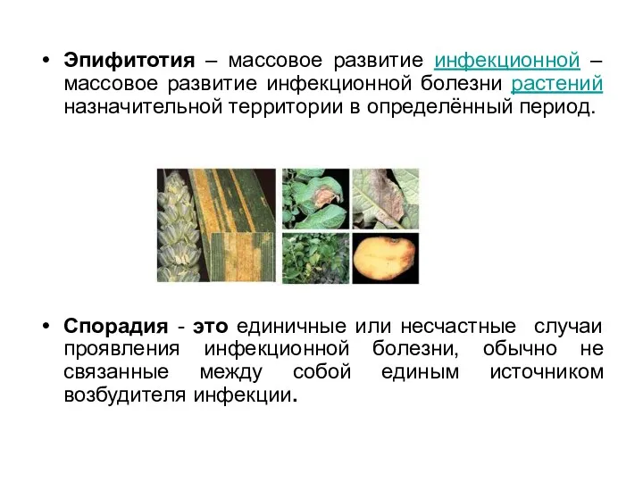 Эпифитотия – массовое развитие инфекционной – массовое развитие инфекционной болезни