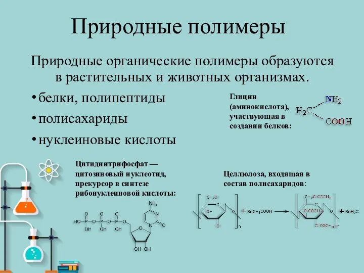 Природные полимеры Природные органические полимеры образуются в растительных и животных