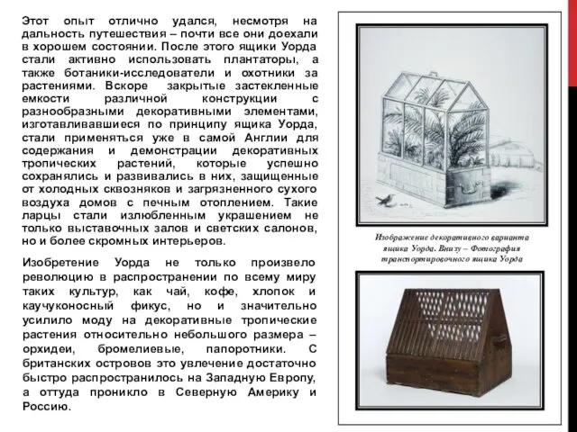 Этот опыт отлично удался, несмотря на дальность путешествия – почти