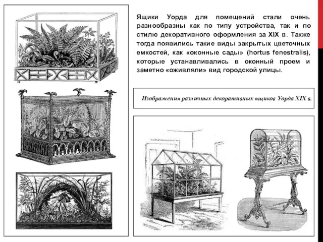 Ящики Уорда для помещений стали очень разнообразны как по типу