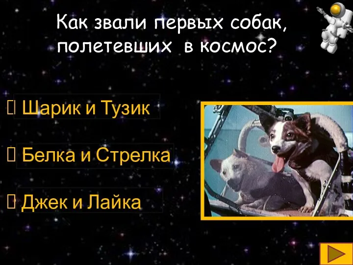 Как звали первых собак, полетевших в космос? Шарик и Тузик Белка и Стрелка Джек и Лайка