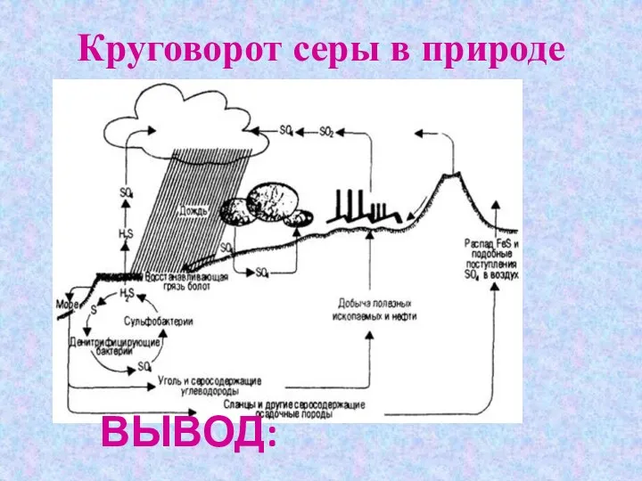 Круговорот серы в природе ВЫВОД: