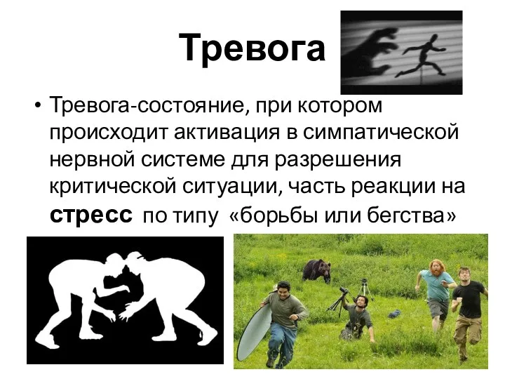 Тревога Тревога-состояние, при котором происходит активация в симпатической нервной системе