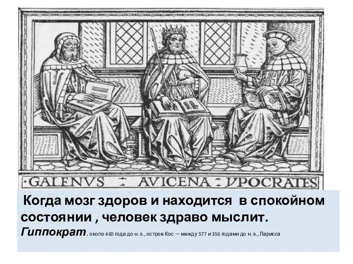 Когда мозг здоров и находится в спокойном состоянии , человек